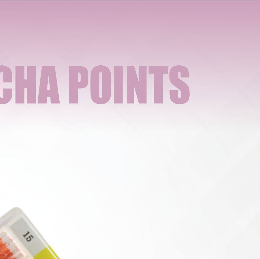 Gutta Percha Points – detail 2
